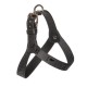 HARNESS ELEGANT RIBBON