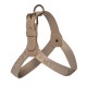 HARNESS ELEGANT RIBBON