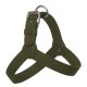 HARNESS ADRIA