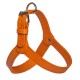HARNESS ADRIA