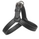 HARNESS ADRIA