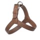 HARNESS ADRIA