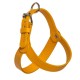 HARNESS ADRIA