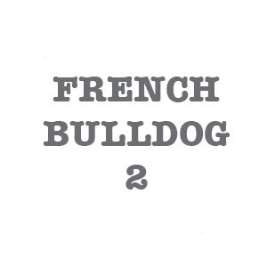 FRENCH BULLDOG 2