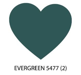 COL.5477 EVERGREEN