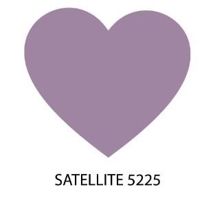 COL.5225 SATELLITE