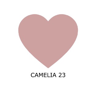 COL.CAMELIA 23