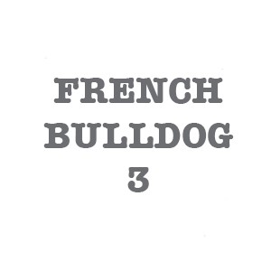 FRENCH BULLDOG 3